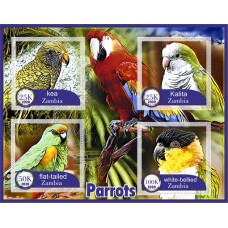 Fauna Parrots